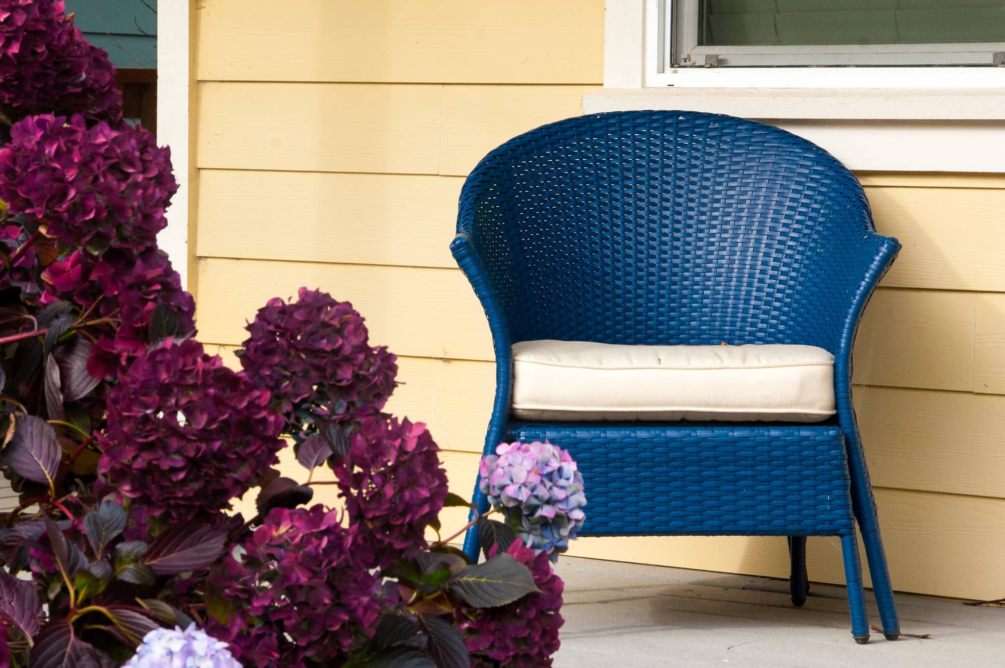 Blue wicker chair with a white cushion on a sunny beach house porch beside purple hydrangeas